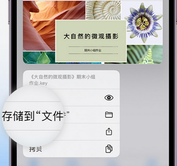 宁江apple维修中心分享iPhone文件应用中存储和找到下载文件