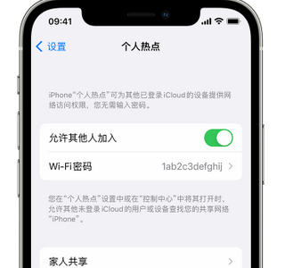 宁江apple服务站点分享iPhone上个人热点丢失了怎么办 