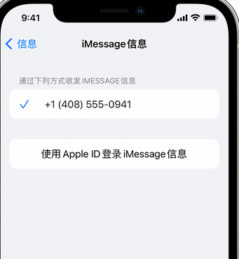 宁江apple维修iPhone上无法正常发送iMessage信息 