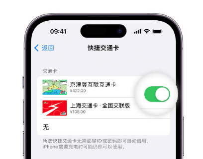 宁江apple维修点分享iPhone上更换Apple Pay快捷交通卡手绘卡面 