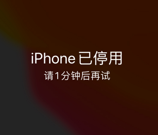 宁江苹果手机维修分享:iPhone 显示“不可用”或“已停用”怎么办？还能保留数据吗？ 