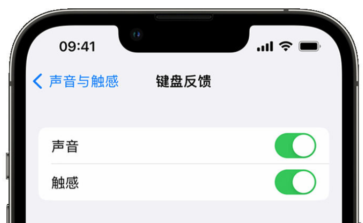 宁江苹果手机维修分享iPhone 14触感键盘使用方法 