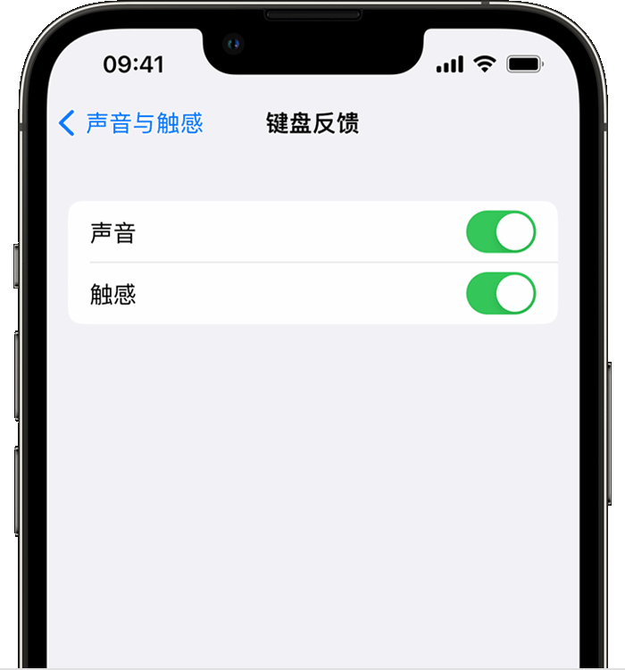 宁江苹果14维修店分享如何在 iPhone 14 机型中使用触感键盘 