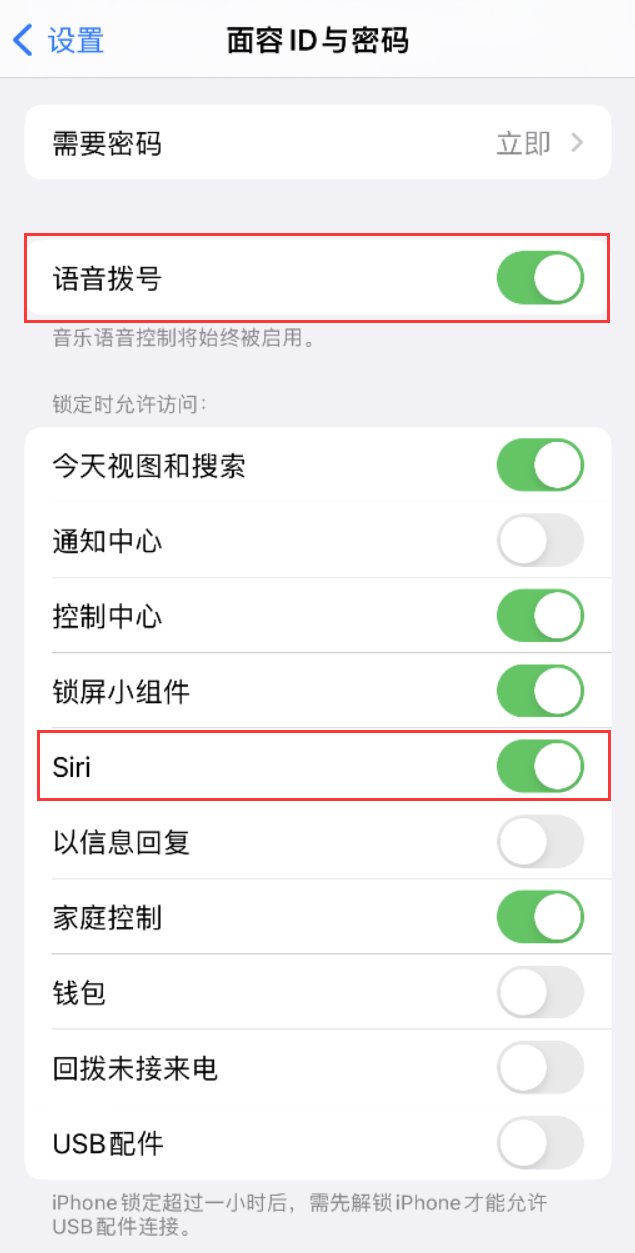 宁江苹果维修网点分享不解锁 iPhone 的情况下通过 Siri 拨打电话的方法 