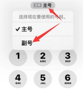 宁江苹果14维修店分享iPhone 14 Pro Max使用副卡打电话的方法 