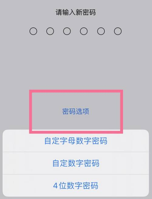 宁江苹果14维修分享iPhone 14plus设置密码的方法 