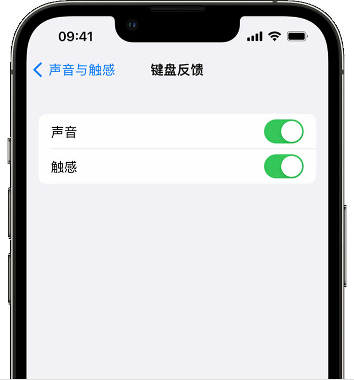 宁江苹果14维修分享iPhone 14 系列机型如何开启键盘声音或触感反馈 