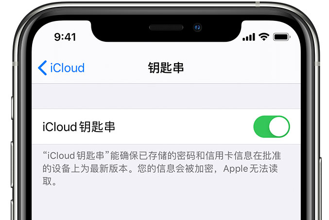 宁江苹果手机维修分享在 iPhone 上开启 iCloud 钥匙串之后会储存哪些信息 