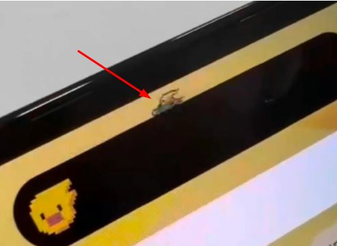 宁江苹果14维修分享iPhone 14 Pro Max灵动岛怎么养宠物 