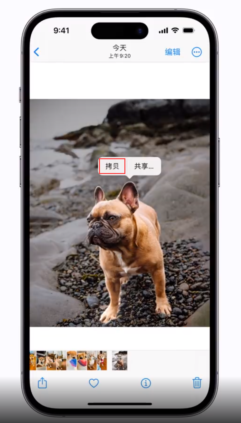 宁江苹果手机维修分享 iOS 16 自带一键抠图功能 