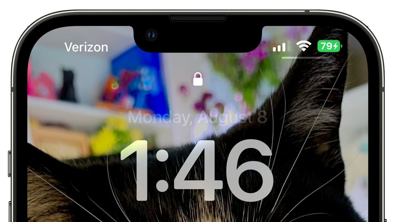 宁江苹果手机维修分享iOS 16 beta 5 支持状态栏显示电池百分比，如何开启？支持哪些机型 