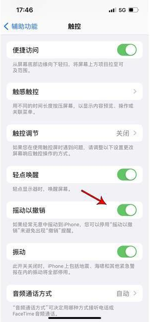 宁江苹果手机维修分享iPhone手机如何设置摇一摇删除文字 