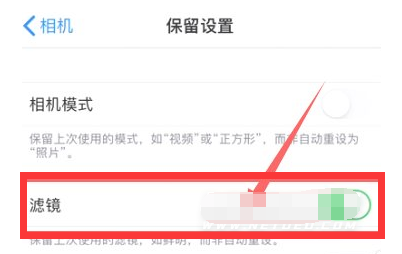 宁江苹果13维修分享iPhone13拍照有绿点是怎么回事 