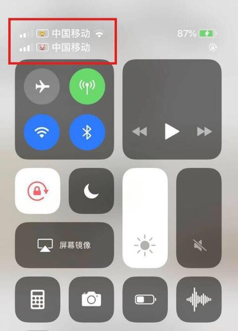宁江苹果手机维修分享为 iPhone 12 双卡设置标签 