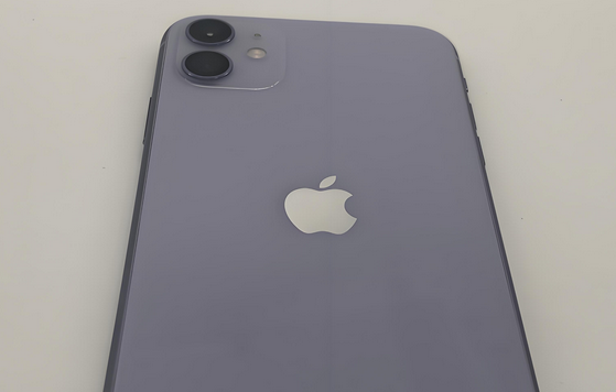 宁江苹果11系统维修分享iPhone11手机系统崩溃无法开机如何解决 
